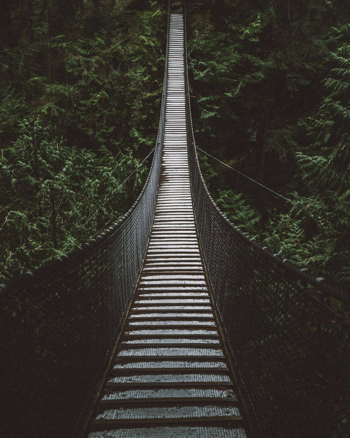 An empty suspension bridge spanning a gap in a dense green rainforest
